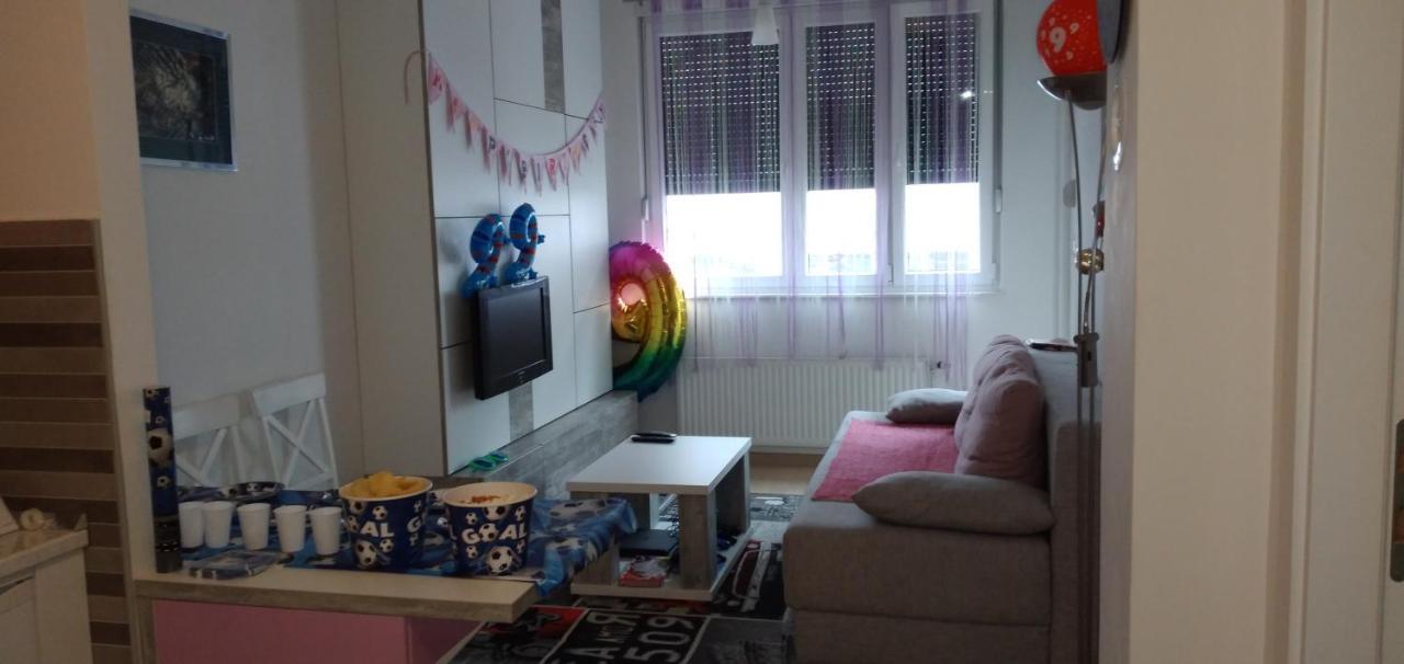 Apartman Ladybug Μπάνια Λούκα Εξωτερικό φωτογραφία