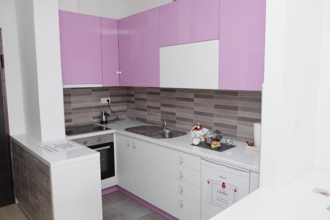 Apartman Ladybug Μπάνια Λούκα Εξωτερικό φωτογραφία