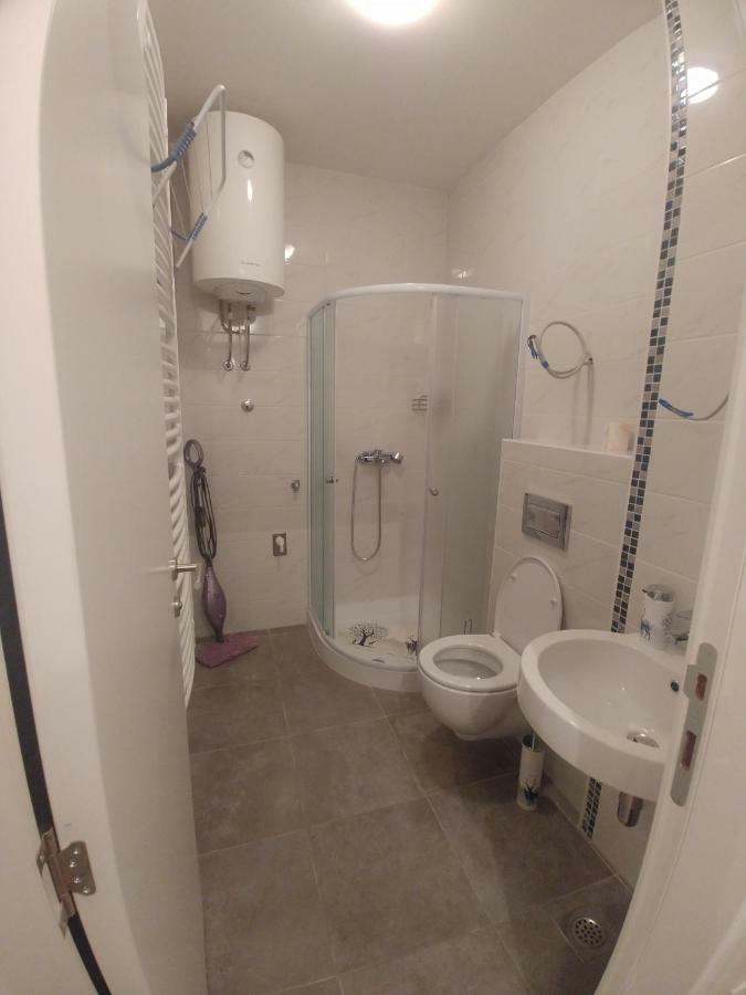 Apartman Ladybug Μπάνια Λούκα Εξωτερικό φωτογραφία
